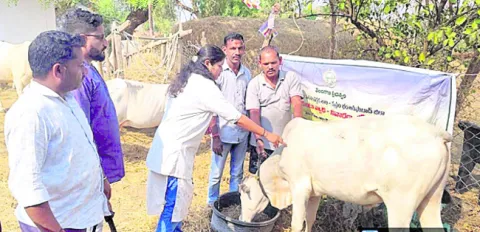 వ్యాధ