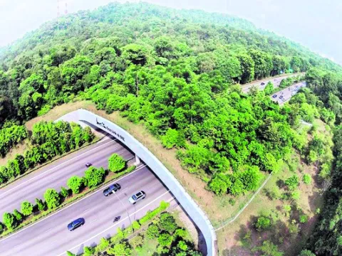 ఘాట్‌రోడ్డు విస్తరించేనా: 

