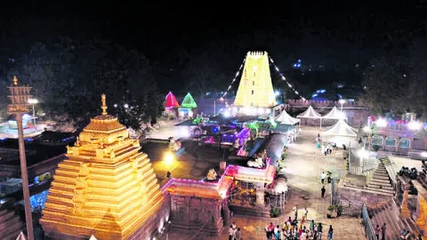 శ్రీగ
