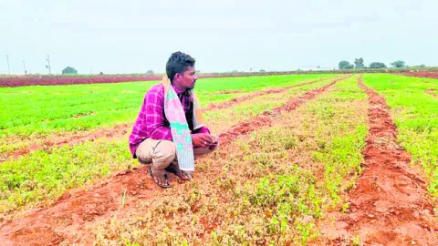 బనవాస