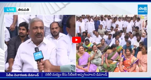 Peddireddy Ramachandra Reddy Slams Chandrababu Govt 2