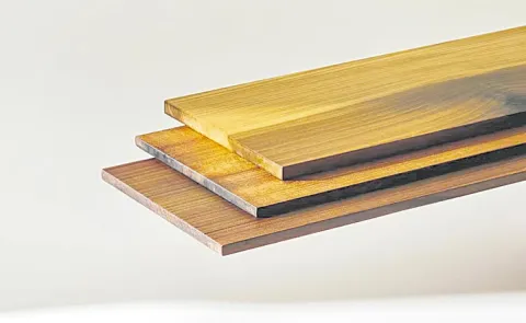 Scientists create Superwood that 10 times stronger than steel