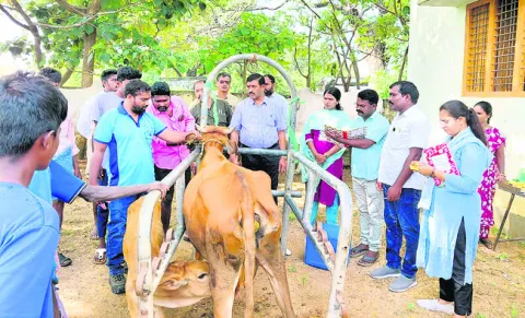 మట్టపల్లిలో నిత్యకల్యాణం
