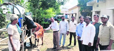 టీకాలతోనే గాలికుంటు వ్యాధి నివారణ