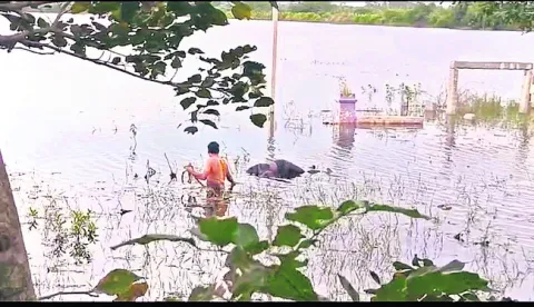 కులగణ