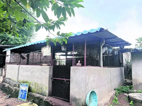 ‘ఉపాధ