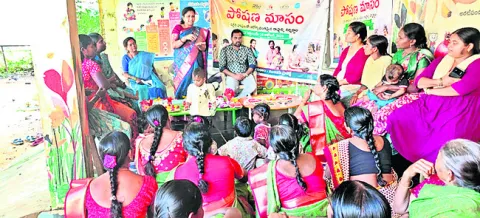 గర్భిణులు పౌష్టికాహారం తీసుకోవాలి