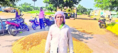 వరంగల