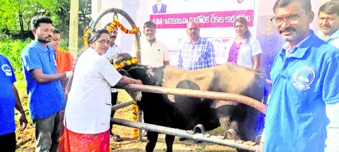 పశువులకు టీకాలు వేయించాలి