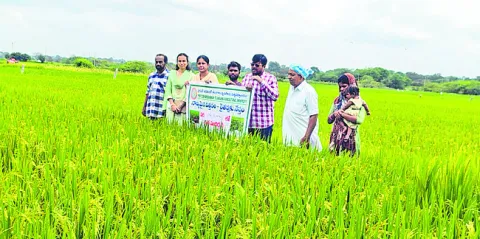 నాణ్యమైన విత్తనాలతోనే అధిక దిగుబడులు 