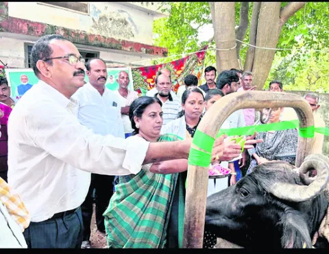 పాడిసంపదతో రైతుల ఆర్థికాభివృద్ధి 
