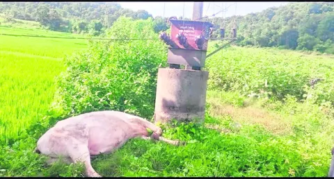 పోక్సో కేసు నమోదు