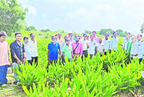 పసుపు పరిశోధన  కేంద్రం సందర్శన 