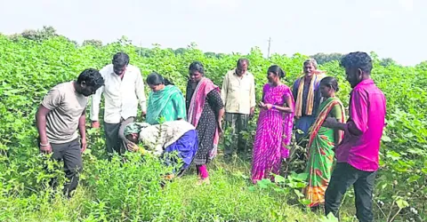 రైతుల