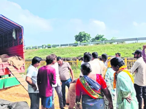 మొక్కజొన్న తూకంలో మోసం 