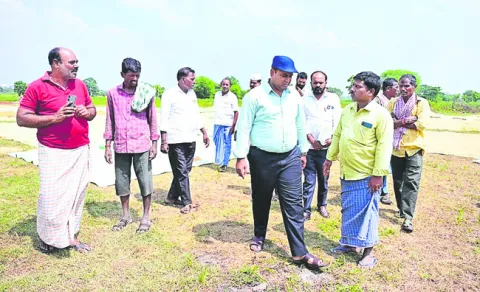 నాణ్యతా ప్రమాణాలు తప్పనిసరి