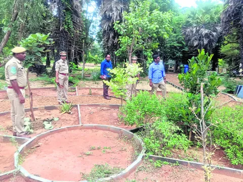 కోత మిల్లులపై విజిలెన్స్‌ విచారణ