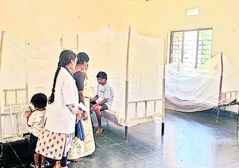 ● జిల్లా ఆస్పత్రికి రిఫర్