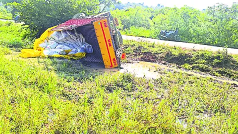 వేరుశనగ విత్తనాల  డీసీఎం బోల్తా 