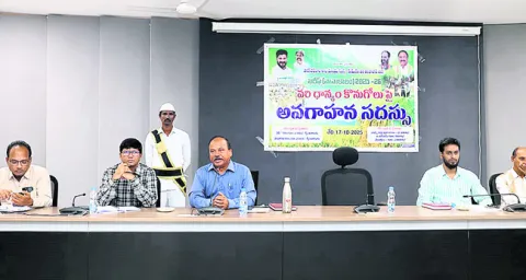 వరి ధాన్యం కొనుగోళ్లు పకడ్బందీగా చేపట్టాలి