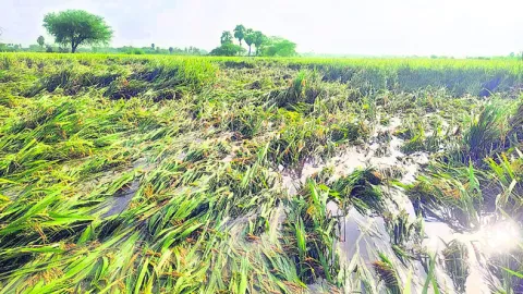 లక్ష్మీనగర్‌లో చోరీ

