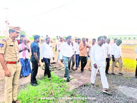 నాపాక