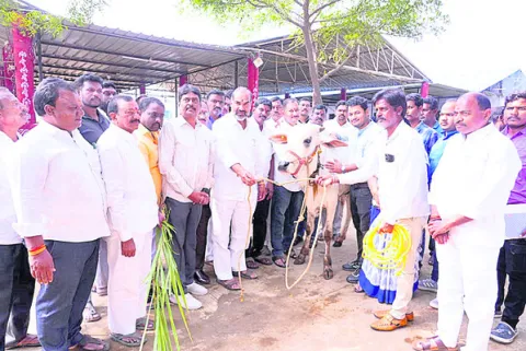 కోడెలను వ్యవసాయానికి వినియోగించాలి