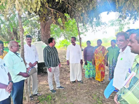 ధాన్యం సేకరణ సమర్థవంతంగా చేపట్టాలి