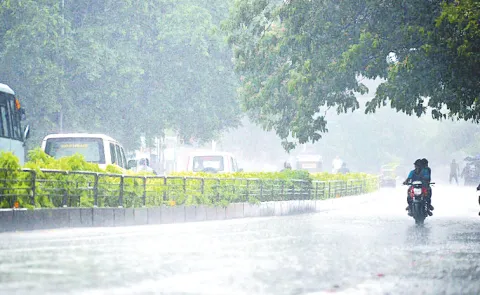 Rains in many places in the state due to the movement of the northeast monsoon