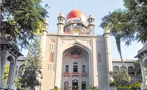 Telangana high court seeks govt and SEC response on local body polls