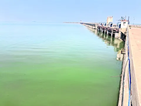 ఎస్సా
