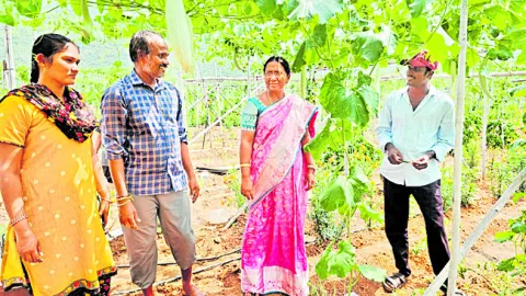 పలు పంటల సాగుతో రైతు పదిలం 