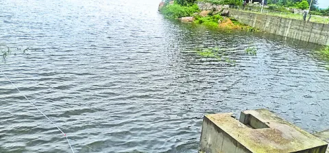 పర్యవ
