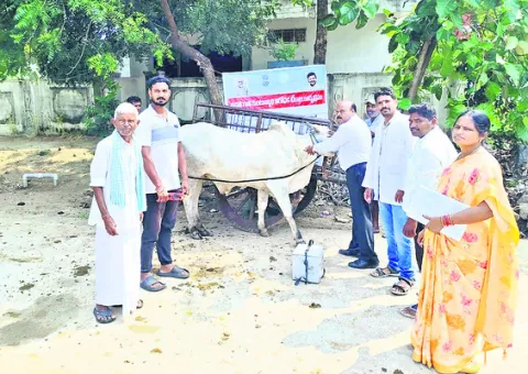 పశువులకు టీకాలు వేయించాలి
