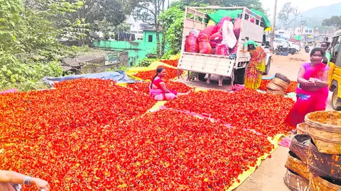 బంతి.. ధరల కాంతి 
