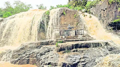 వినోద