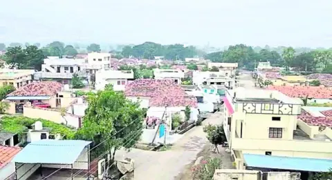 ముస్క