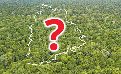 Lack of clarity on the joint survey of the two departments