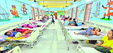 మన్యంపై జ్వరాల పంజా