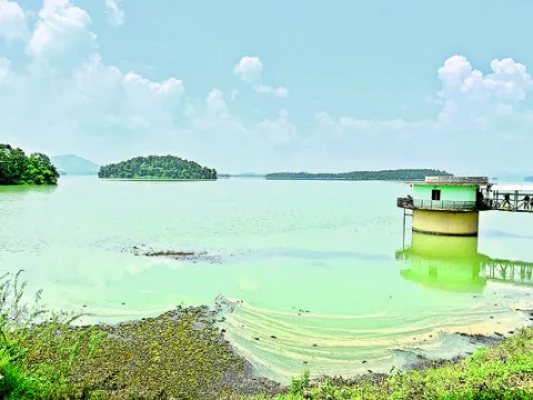 నిండు కుండలా కిన్నెరసాని 
