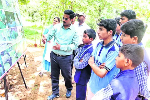 వన్యప్రాణుల సంరక్షణ.. అందరి బాధ్యత