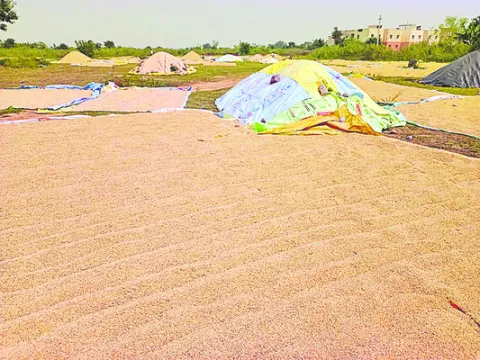 కొనుగ