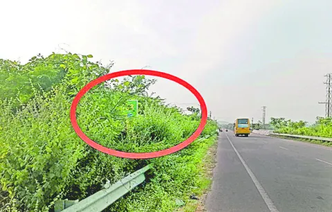పనులు
