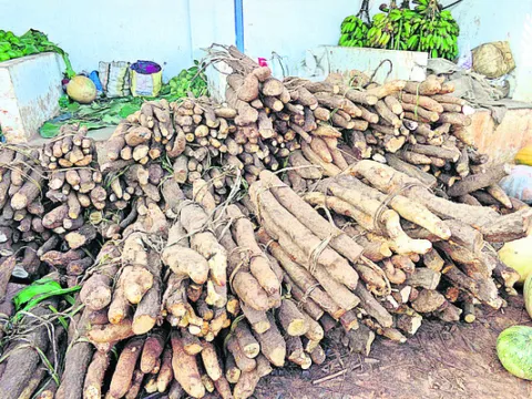 మార్క