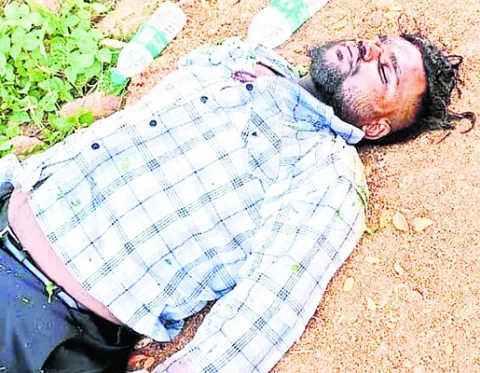 పండగ 