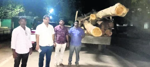 అక్రమ కలప లోడు ట్రాక్టర్‌ సీజ్‌ 