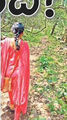 అడవి