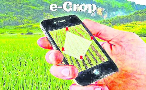 నత్త నడకన ఈ–క్రాప్‌