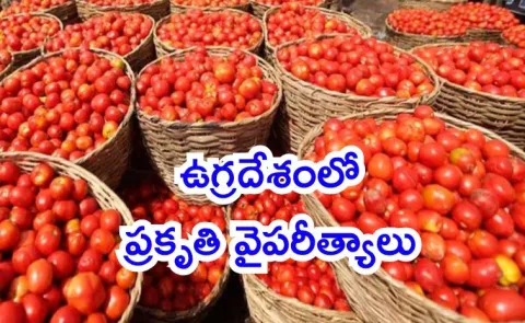 why tomato kg in Rs 700 in pakistan reasons