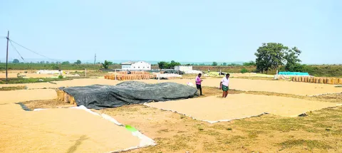 కొనుగోళ్లకు సమాయత్తం!